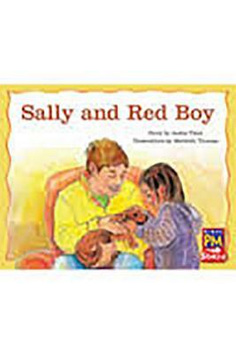 Leveled Reader Bookroom Package Green (Levels 12-14): Sally and Red Boy by Jackie Tidey