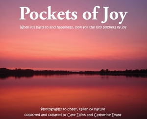 Pockets of Joy: When it's hard to find happiness, look for the tiny pockets of joy by Cate Ellink, Catherine Evans