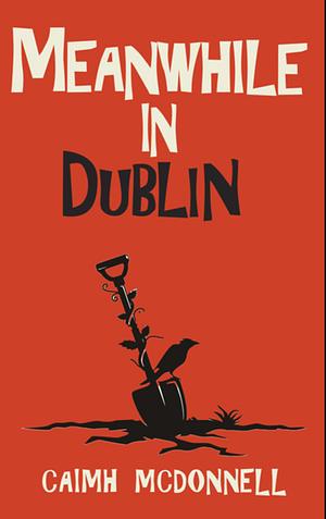 Meanwhile in Dublin by Caimh McDonnell