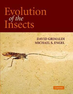 Evolution of the Insects by Michael S. Engel, David A. Grimaldi