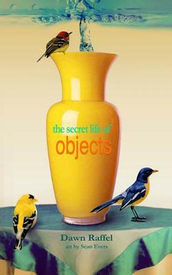 The Secret Life of Objects by Dawn Raffel