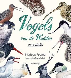 Vogels van de Wadden: 25 verhalen by Marloes Fopma