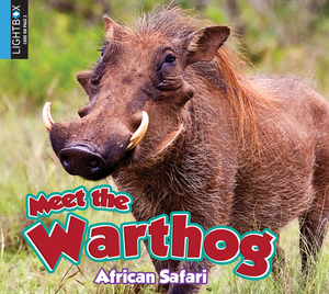 Meet the Warthog by Katie Gillespie