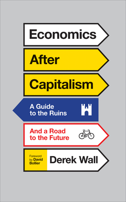 Economics After Capitalism: A Guide to the Ruins and a Road to the Future by Derek Wall