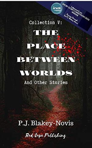 The Place Between Worlds by P.J. Blakey-Novis