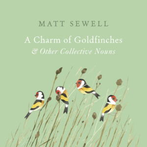 A Charm of Goldfinches and Other Collective Nouns by Matt Sewell