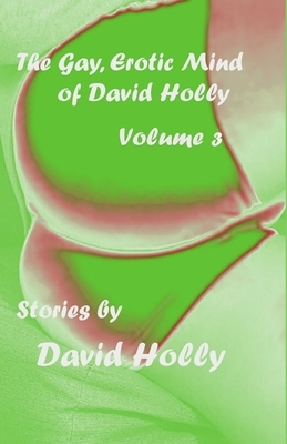 The Gay, Erotic Mind of David Holly, Volume 3 by David Holly