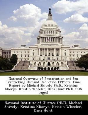 National Overview of Prostitution and Sex Trafficking Demand Reduction Efforts, Final Report by Michael Shively PH.D., Kristina Kliorys, Kristin Wheel by Kristina Kliorys, Michael Shively