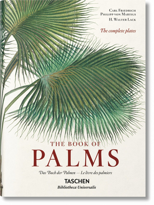 Von Martius. the Book of Palms by H. Walter Lack