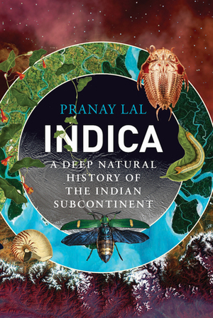 Indica by Pranay Lal