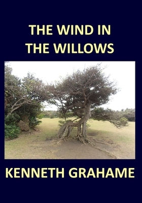 THE WIND IN THE WILLOWS Kenneth Grahame by Kenneth Grahame