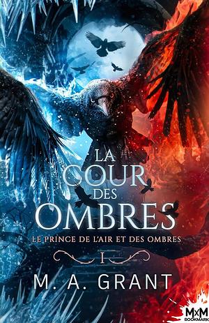 Le prince de l'Air et des Ombres by M.A. Grant