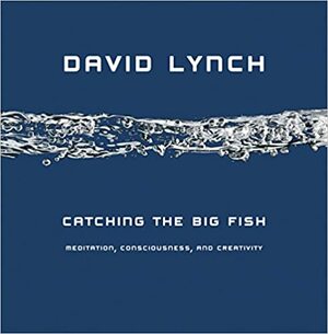Suure kala jahil: Mediteerimine, teadvus, loovus by David Lynch