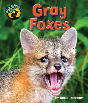 Gray Foxes by Jane P. Gardner