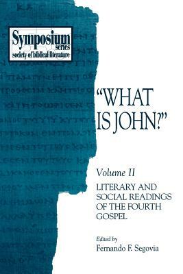What Is John?: Volume II, Literary and Social Readings of the Fourth Gospel by 
