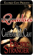 Erotic Stranger by Cheyenne McCray