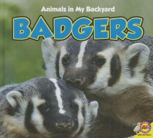 Badgers by Aaron Carr