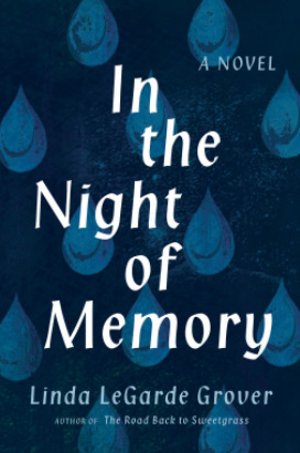 In the Night of Memory by Linda LeGarde Grover