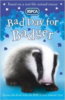 Bad day for badger by Sarah Hawkins