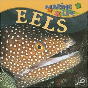 Eels by Lynn M. Stone