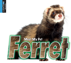 Ferret by Jared Siemens