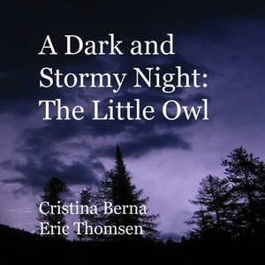 A Dark and Stormy Night: The Little Owl by Cristina Berna, Eric Thomsen