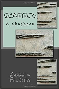 Scarred by Angela Felsted