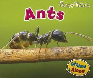 Ants by Rebecca Rissman