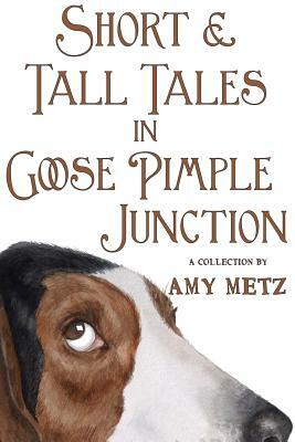 Short & Tall Tales in Goose Pimple Junction by Amy Metz