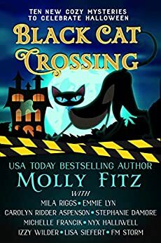 Black Cat Crossing: A Collection of 11 Cozy Mysteries to Celebrate Halloween by Nyx Halliwell, Molly Fitz, Lisa Siefert, S.E. Babin, Stephanie Damore, Izzy Wilder, Mila Riggs, Emmie Lyn, Carolyn Ridder Aspenson, Michelle Francik