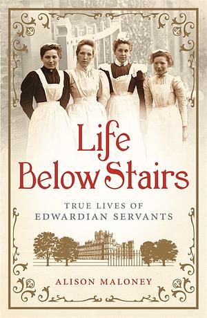 Life Below Stairs by Alison Maloney