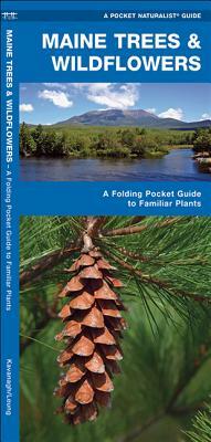 Maine Trees & Wildflowers: A Folding Pocket Guide to Familiar Species by Waterford Press, James Kavanagh