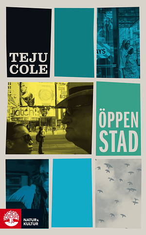 Öppen stad by Teju Cole