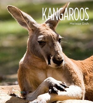 Kangaroos by Melissa Gish