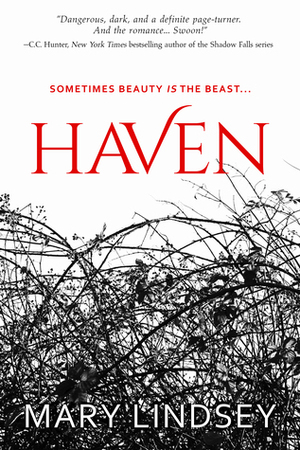 Haven by Mary Lindsey