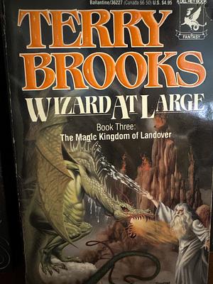 Wizard at Large by Terry Brooks