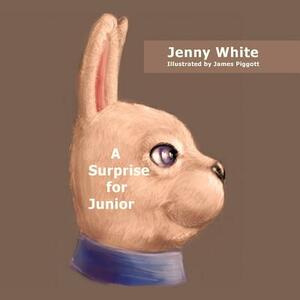 A Surprise for Junior by Jenny White