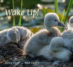 Wake Up! by Helen Frost, Rick Lieder
