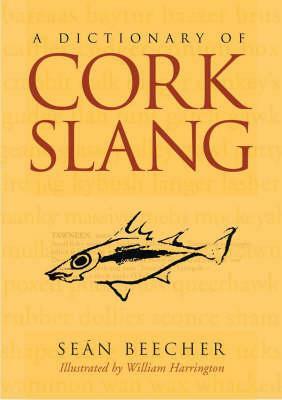 A Dictionary of Cork Slang by Sean Beecher