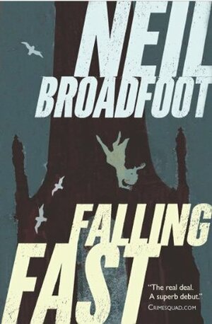 Falling Fast by Neil Broadfoot