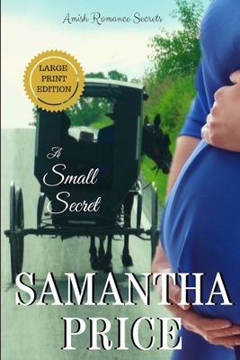 A Small Secret LARGE PRINT by Samantha Price