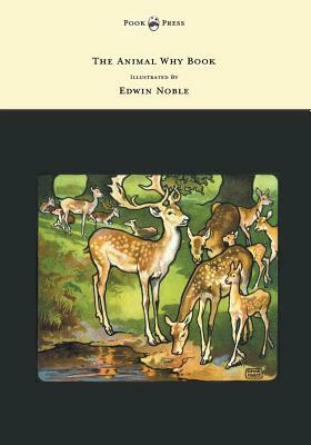 The Animal Why Book - Pictures by Edwin Noble by W. P. Pycraft