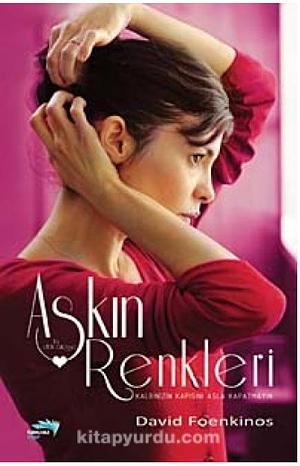 Aşkın Renkleri by David Foenkinos, David Foenkinos