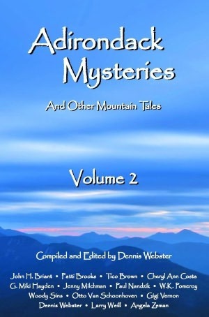 Adirondack Mysteries And Other Mountain Tales: Volume 2 by John H. Briant, Angela Zeman, Dennis Webster, Jenny Milchman, Paul Nandzik, Cheryl Ann Costa, Larry Weill, Tico Brown, W.K. Pomeroy, Patti Brooks, Gigi Vernon, G. Miki Hayden, Woody Sins, Otto Van Schoonhoven