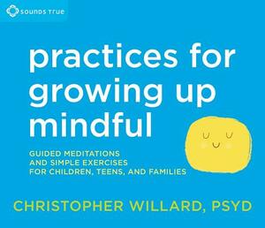 Practices for Growing Up Mindful: Guided Meditations and Simple Exercises for Children, Teens, and Families by Christopher Willard