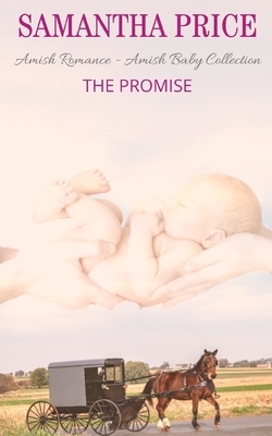 The Promise by Samantha Price