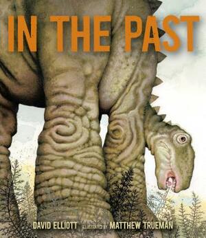 In the Past: From Trilobites to Dinosaurs to Mammoths in More Than 500 Million Years by David Elliott