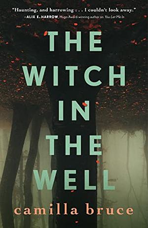 The Witch in the Well by Camilla Bruce