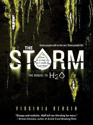 The Storm by Virginia Bergin