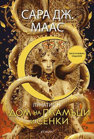 Дом на пламъци и сенки by Sarah J. Maas, Sarah J. Maas